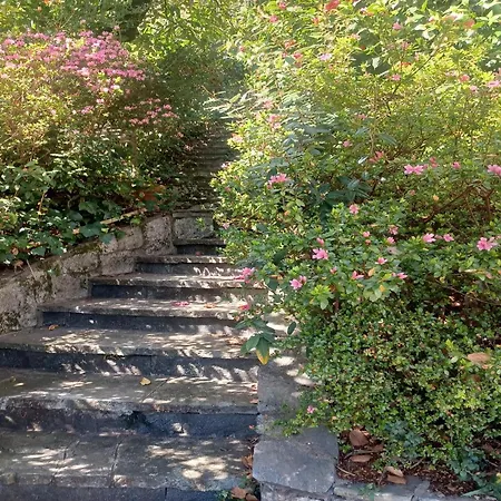 In With Maggiore Views 펜션 기파