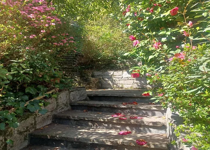 In With Maggiore Views *