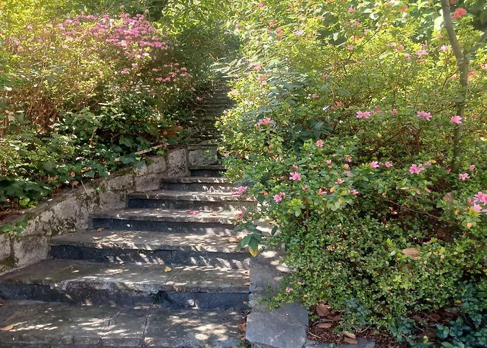 In With Maggiore Views 펜션 기파